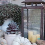 Fall outdoor vignette