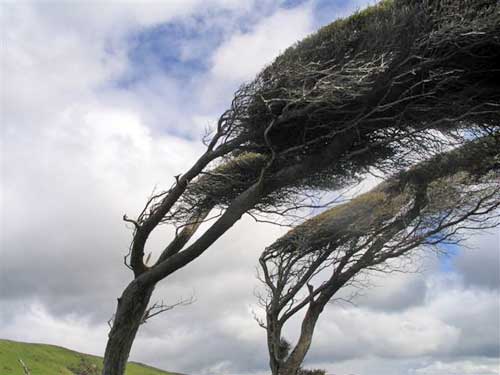 Windy-Nugget-Point-718862