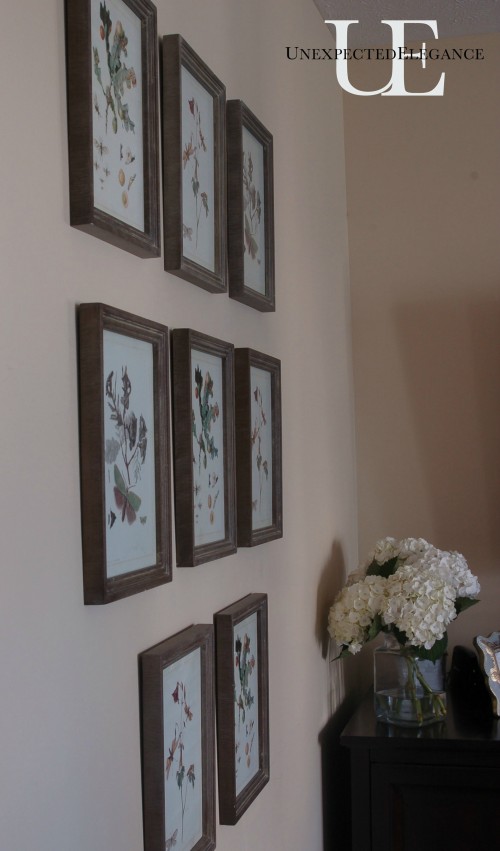Wall of Pictures in Living Room from Unexpected Elegance