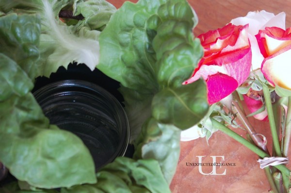 Arranging Lettuce for centerpiece