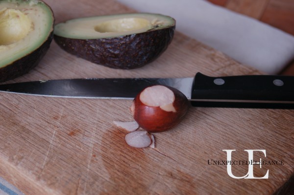 DIY Placecard holder from Avocado Seed at Unexpected Elegance