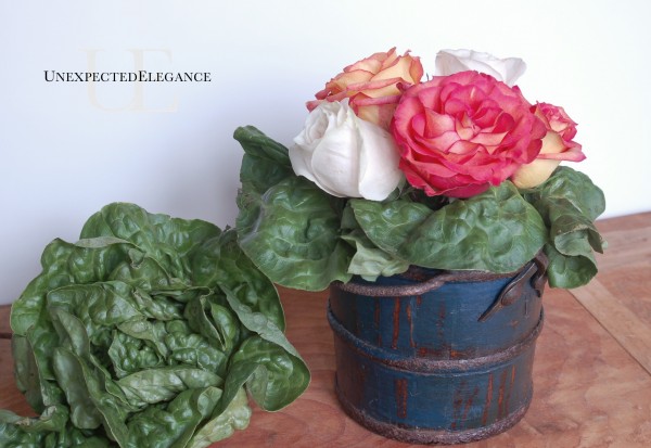 Lettace and Rose arrangement from Unexpected Elegance