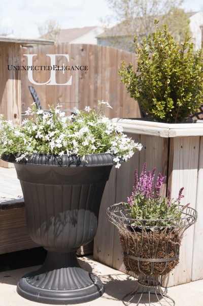 Easy Gardening via Unexpected Elegance (1 of 1)
