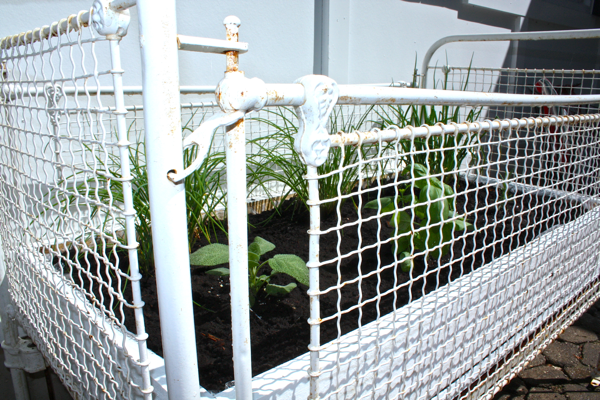 Antique-crib-turned-Herb-Garden-2