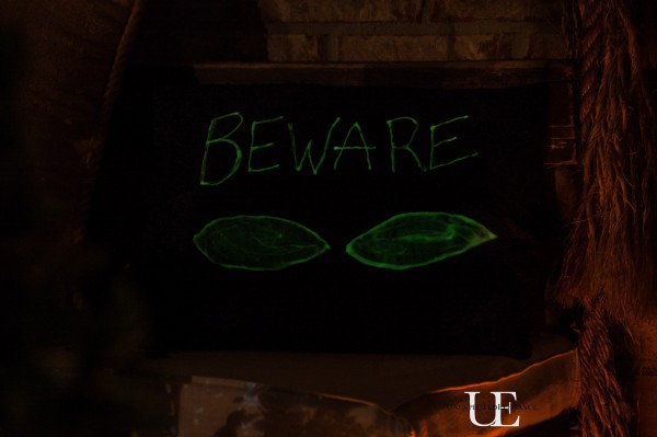 DIY Glow in the Dark Beware Pillow for Halloween at Unexpected Elegance (1 of 1)