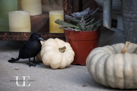 Halloweeen Porch at Unexpected Elegance (1 of 1)-10