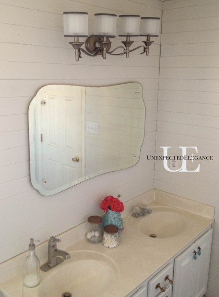 Bathroom Makeover (1 of 1)