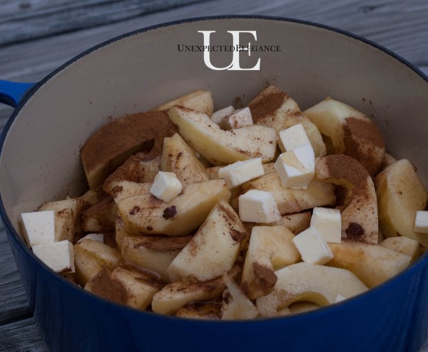 Ingredients for Roasted Honey Crisp Apple Sauce-1-3