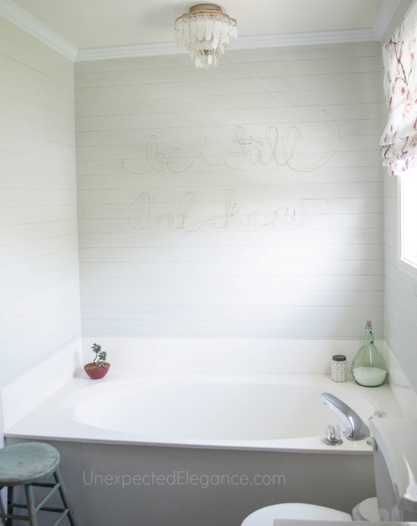 Master Bathroom Makeover on a Budget-1-8.jpg