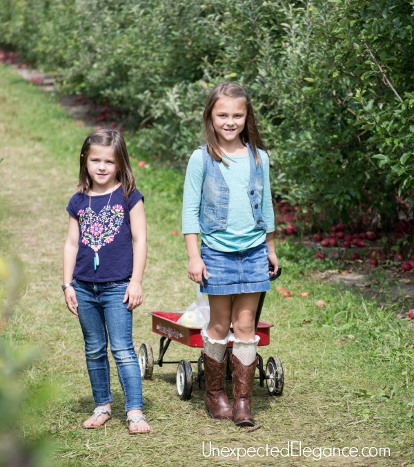 Apple Picking in the FALL-1-3