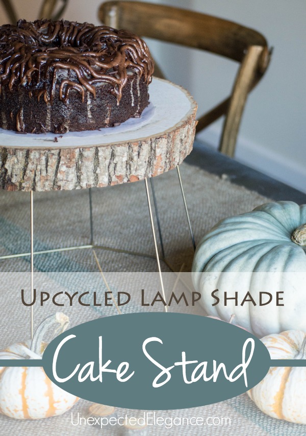This super easy DIY cake stand or plant holder only takes seconds to make.  It's a great piece to add to your fall decor or any time of year!