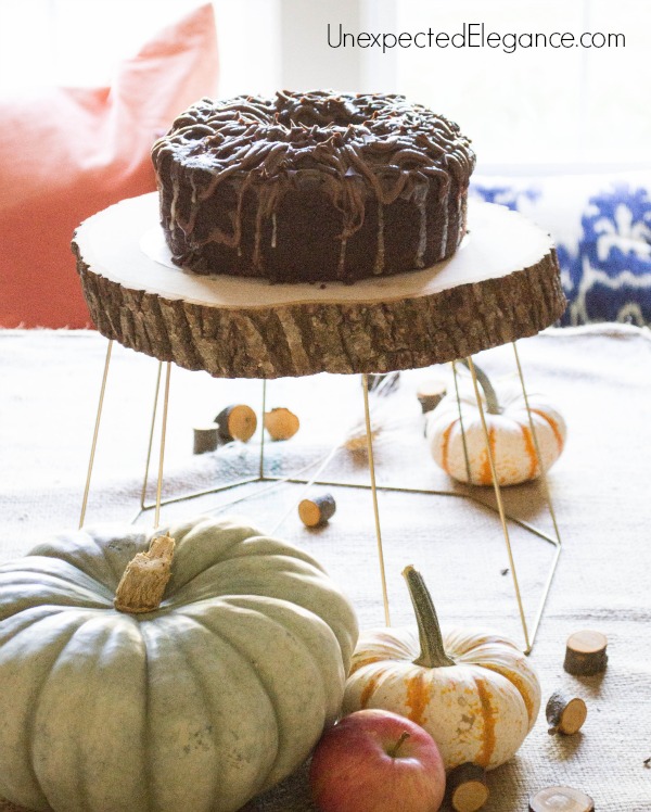This super easy DIY cake stand or plant holder only takes seconds to make.  It's a great piece to add to your fall decor or any time of year!
