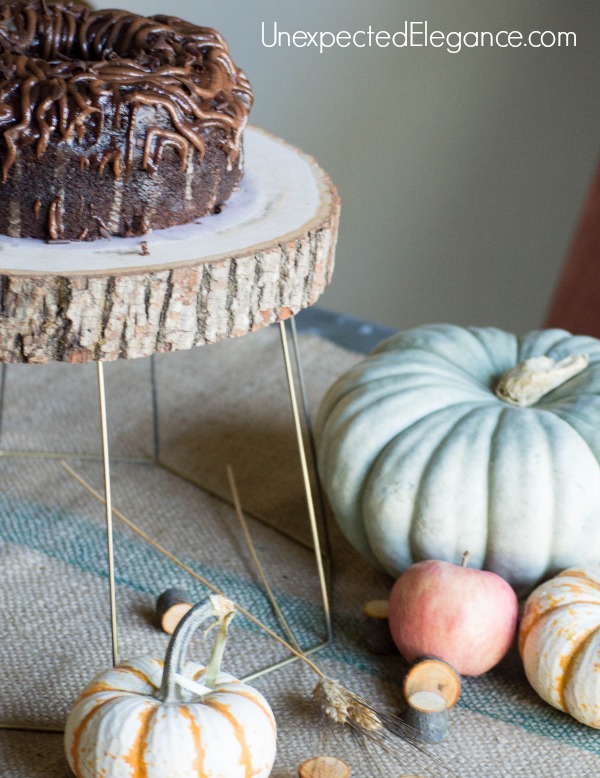 This super easy DIY cake stand or plant holder only takes seconds to make.  It's a great piece to add to your fall decor or any time of year!