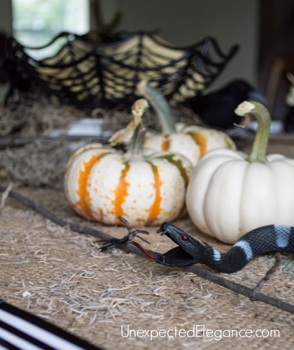 Throw A Spooktacular Adult Halloween Party Unexpected Elegance