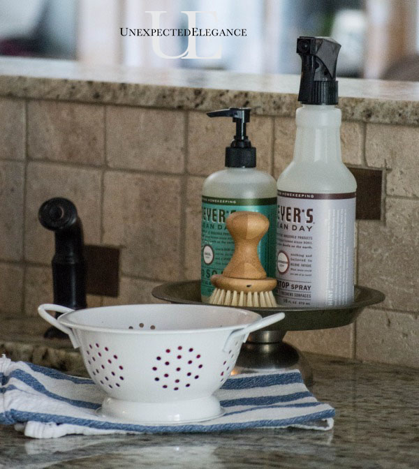 DIY Soap and Cleaner Sink Dish tutorial. It’s a great way to add a little character to one of the hardest, most utilitarian areas of your home. #HomeGrownInspiration #spon