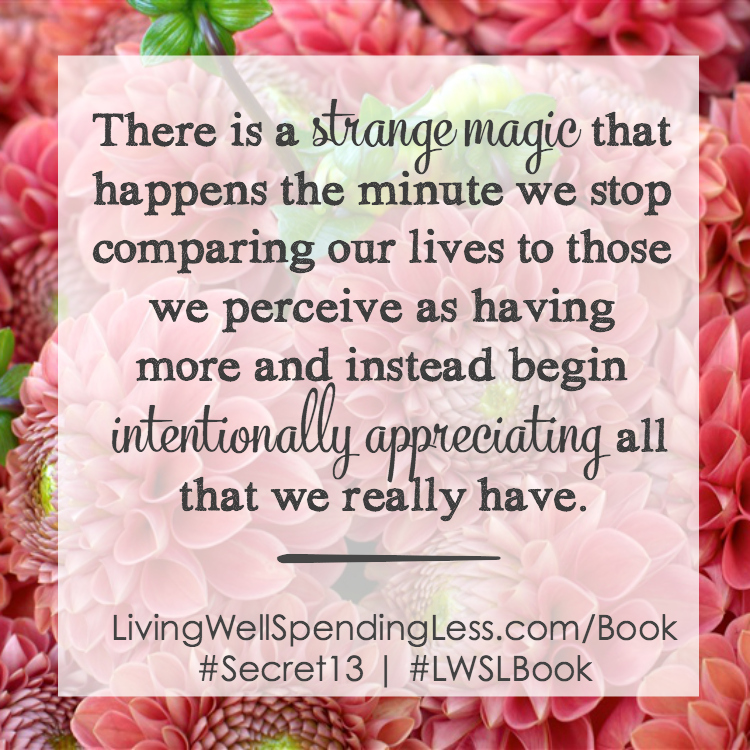 What does it mean to find the GOOD LIFE??  I'll give you my honest opinion on the book Living Well Spending Less: 12 Secrets of the Good Life and share my insights on what it means to live a good life.