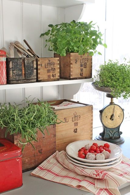 If you have always loved the look of a farmhouse inspired kitchen but aren't ready to rip out your old (or new) cabinets and countertops, there is a way to add a few inexpensive elements that can give you the feel you want! Get 7 INEXPENSIVE tips to help give your kitchen a farmhouse feel!