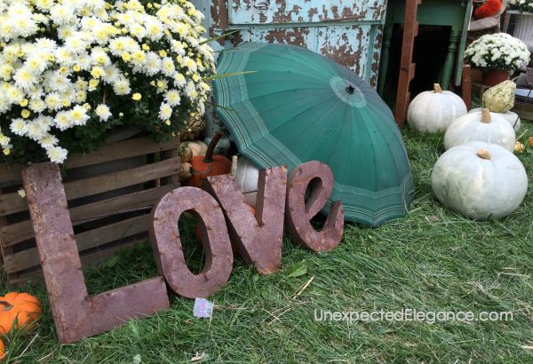 See highlights from the 2015 Country Living Fair!