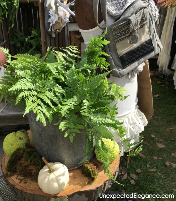 See highlights from the 2015 Country Living Fair!