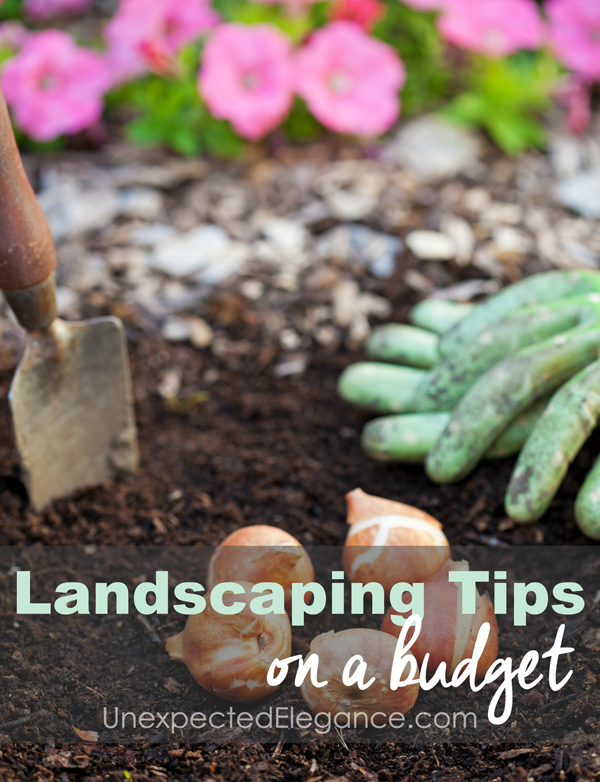 There are so many ways to get the yard you've dreamed of without spending a fortune. Here are just five tips for landscaping on a budget!