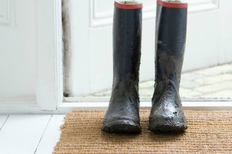 4 Inexpensive Front Door Updates