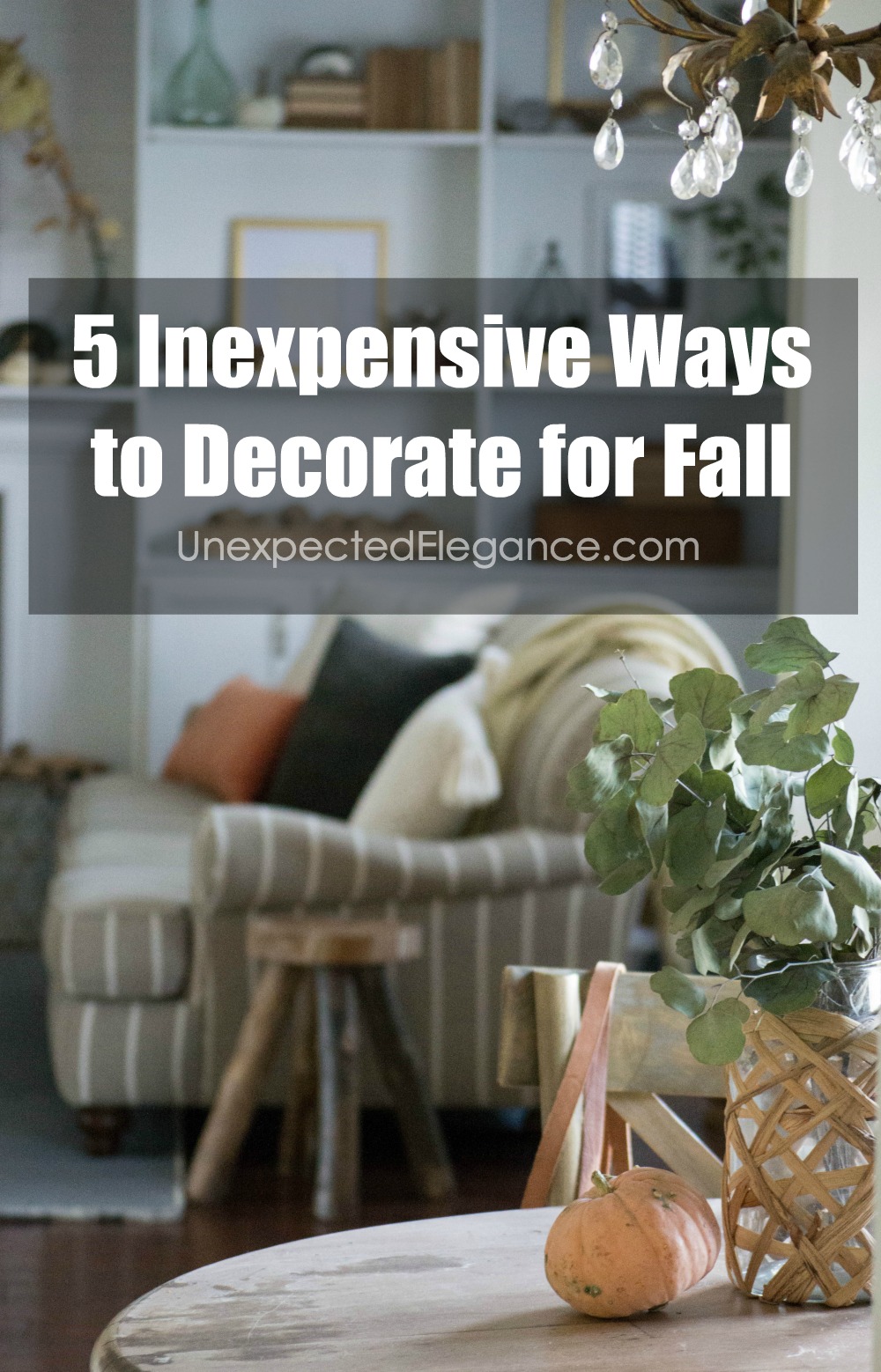 Want to decorate for fall but don't have it in the budget?!? Check out these 5 inexpensive ways to decorate for fall and get your home cozy this season!