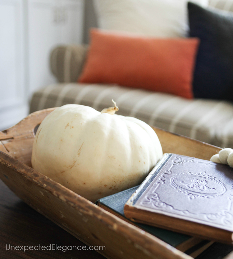 Pumpkins add an instant fall touch to any space.