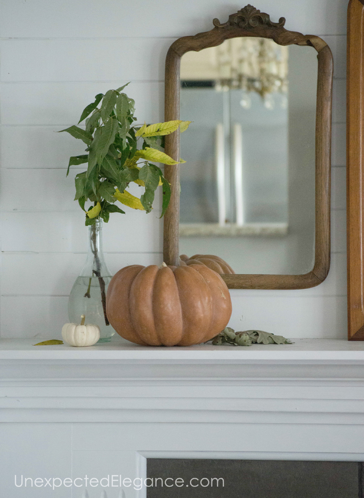 Simple and natural fall decor inspiration, to help get your creativity flowing!