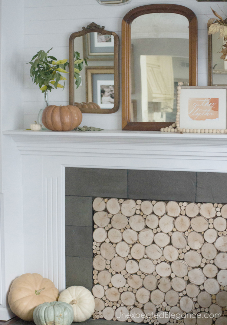 Want a beautiful mantel, but need some ideas?!? Get some inspiration from one blogger who used natural elements to bring in the season.