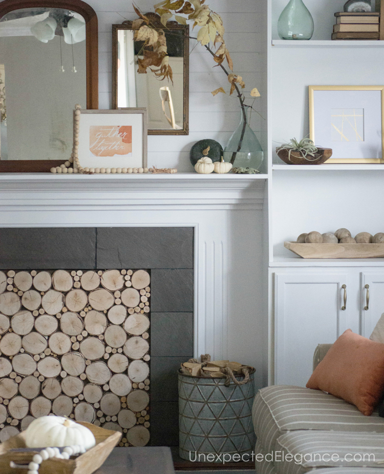 Want a beautiful mantle, but need some ideas?!? Get some inspiration from one blogger who used natural elements to bring in the season.