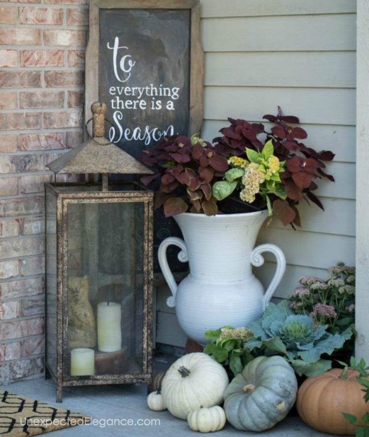 Need some ideas on how to save money on fall decor? Check out these 5 inexpensive options!