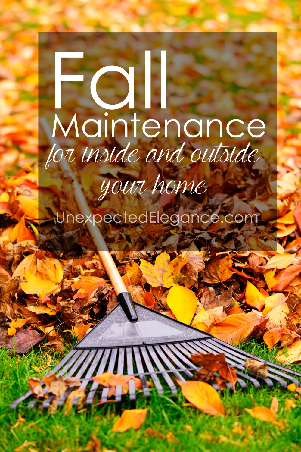 Fall is the perfect time to start maintaining for your home. There are several fall maintenance tips for inside and outside the home, whether it's your lawn or your heating system.