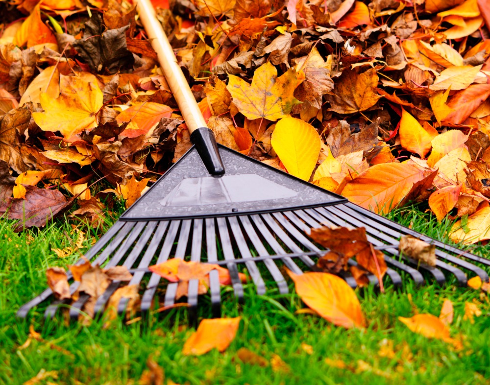 Get your house ready for winter with a few maintenance tips this fall.