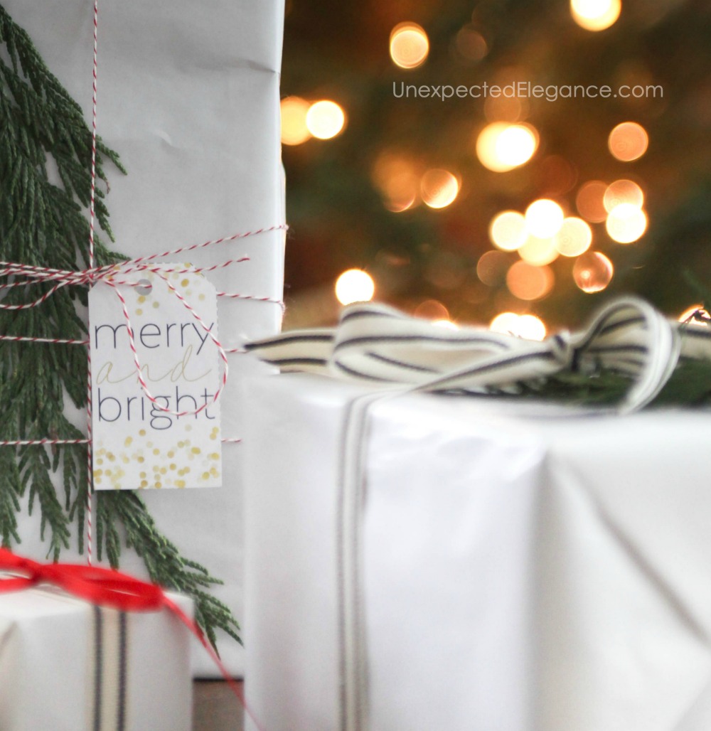 Merry and Bright Gift Idea with Printable Tag