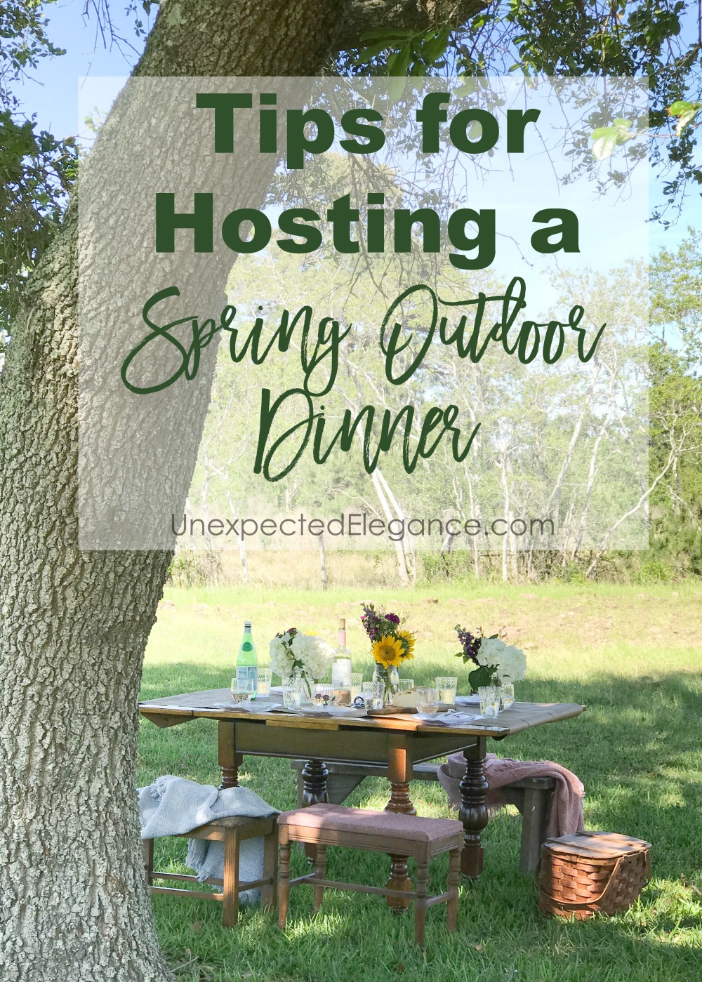 It's spring and time to get back outside! Invite some friends over and host a spring outdoor dinner in the backyard with these great tips!