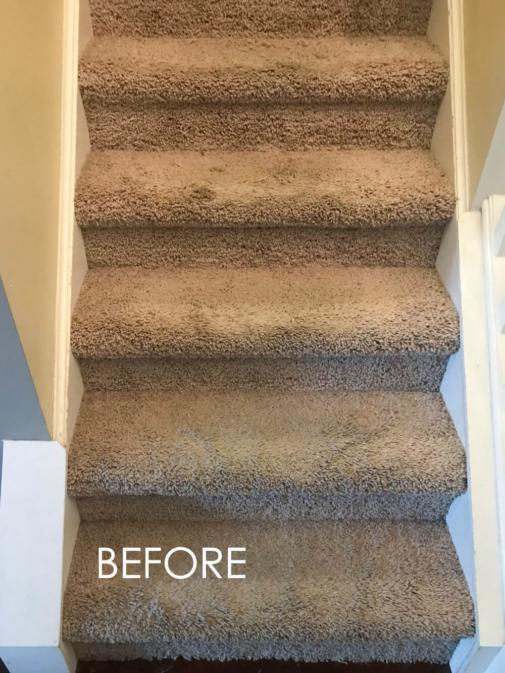 carpet continues on landing on a winder staircase  Stair runner carpet,  Stair carpet protector, Carpet stairs